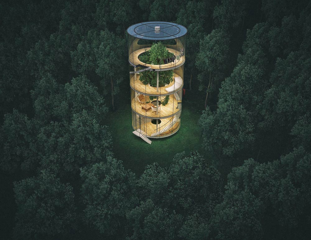 tubular-glass-house-built-around-tree-masow-architects-1