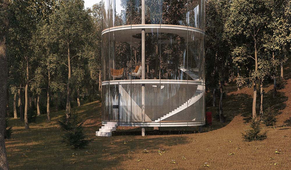 tubular-glass-house-built-around-tree-masow-architects-5