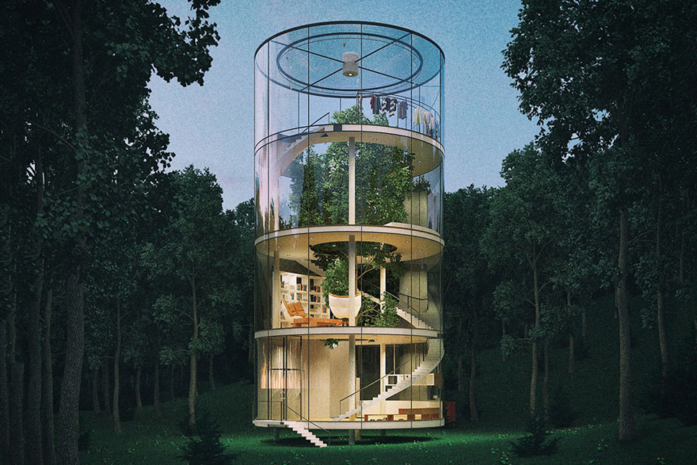 tubular-glass-house-built-around-tree-masow-architects