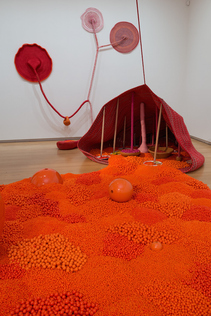 Maria Nepomuceno, Grand Boca, Space to Dream installation views AAG Toi o Tamaki 2016 (60)