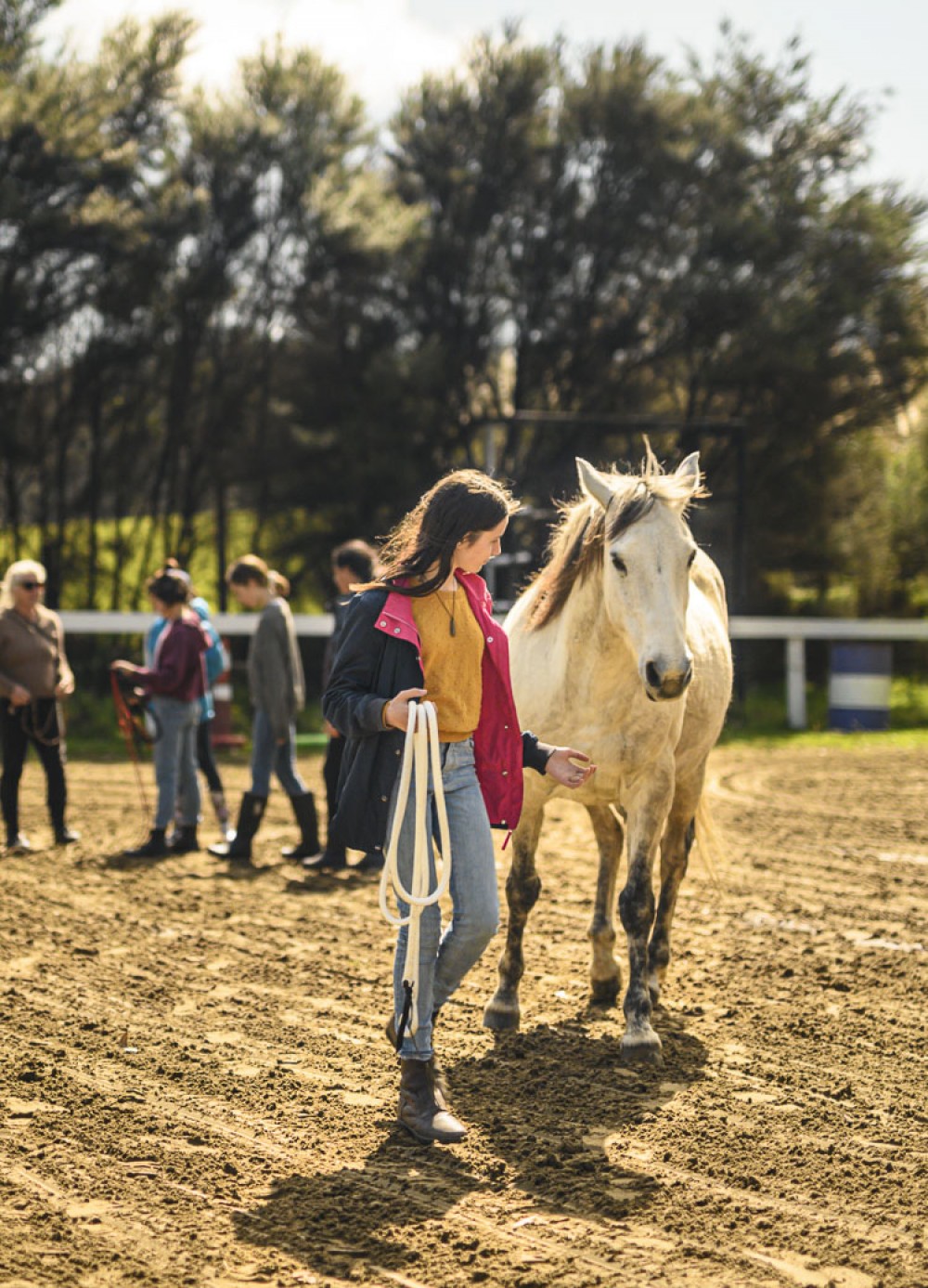 airbnb animal experiences