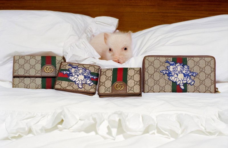 Gucci Puppy Bed