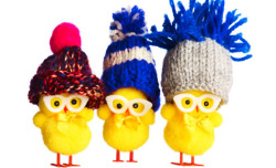 Easter Chickens Wearing Hats