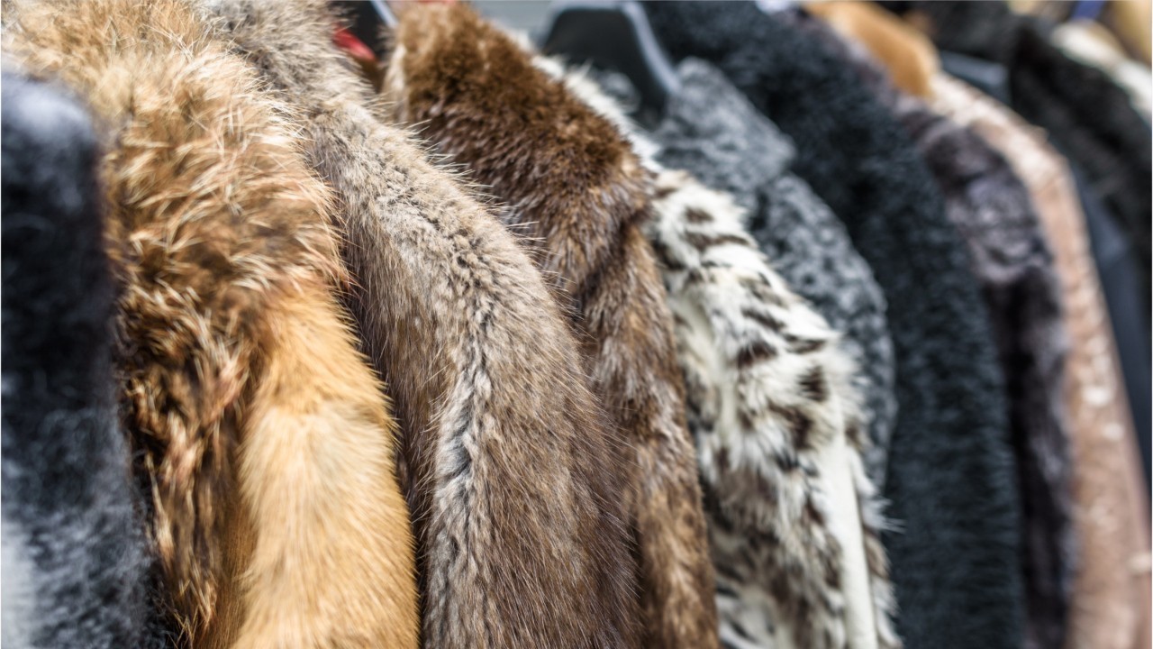 Prada announces it will be going fur-free from 2020 | Remix Magazine