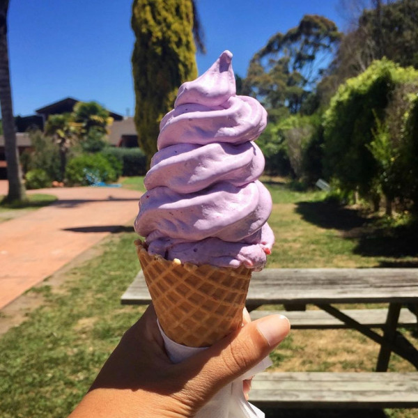 Best 2025 icecream auckland