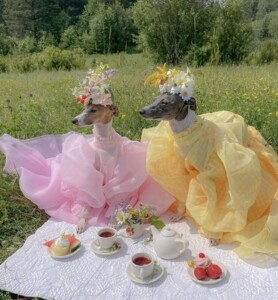 silverstripe thumbnail 6 v12