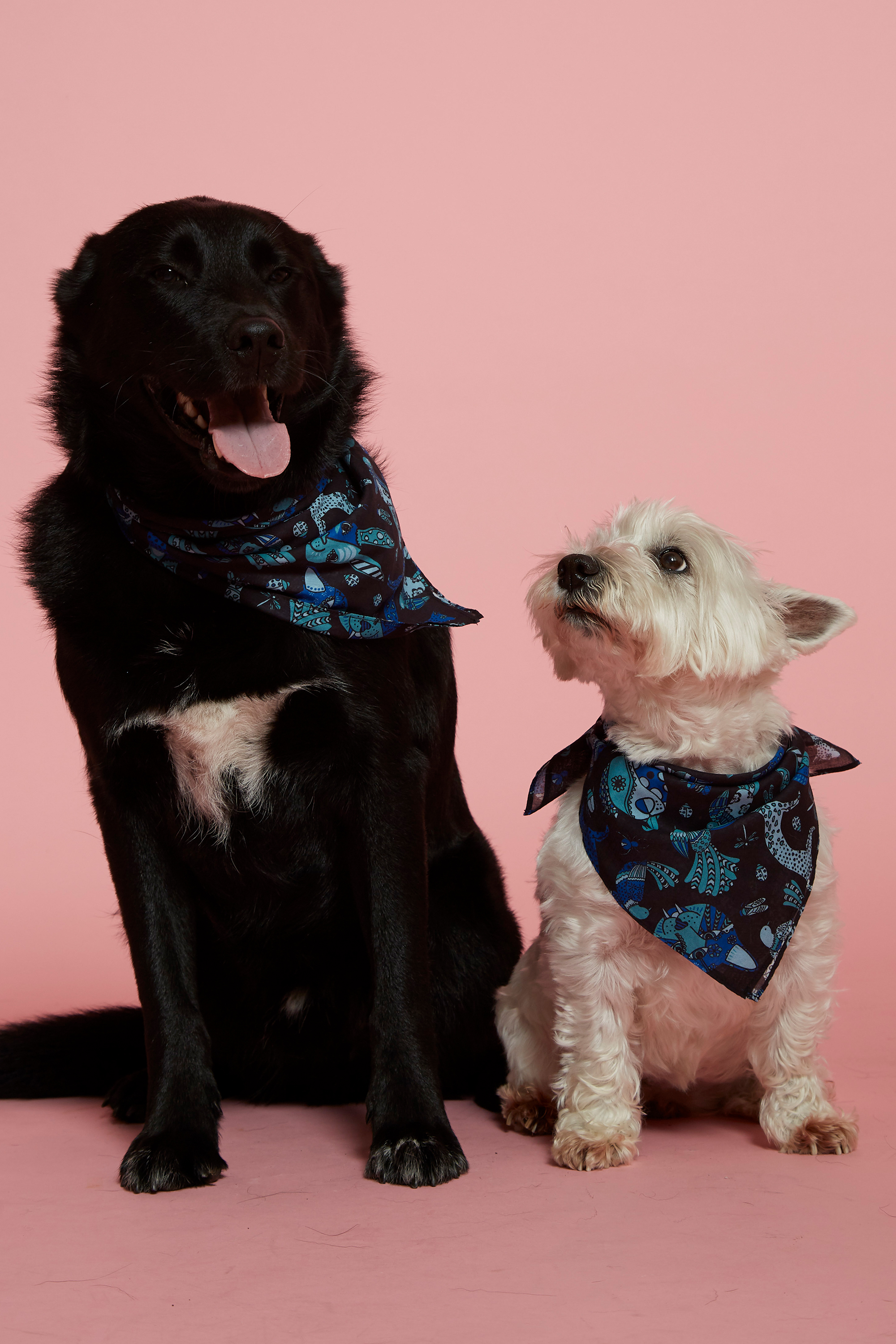 Karen Walker launches Animal Magic in support of SPCA NZ Remix Magazine